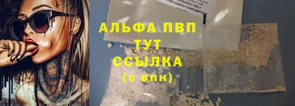 крисы Баксан