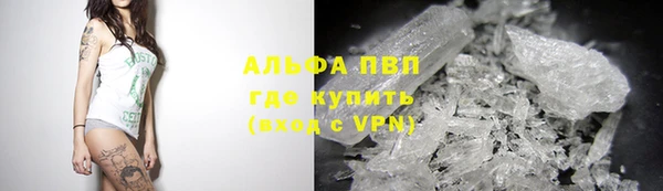 молекула духа Арсеньев