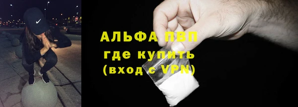 молекула духа Арсеньев