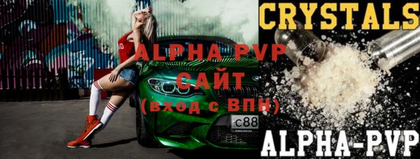 молекула духа Арсеньев