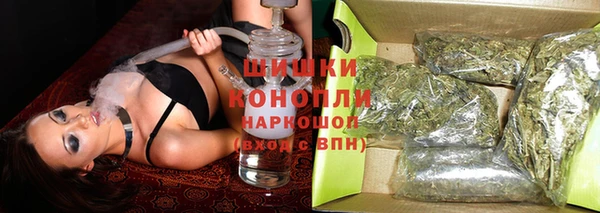 твердый Аркадак