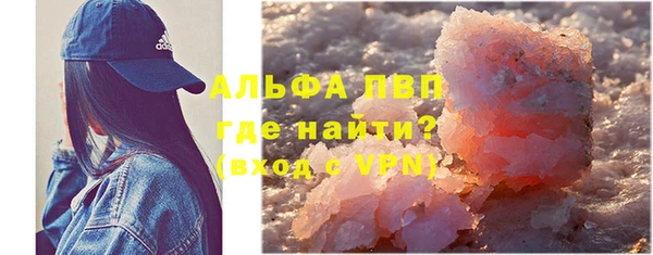 молекула духа Арсеньев