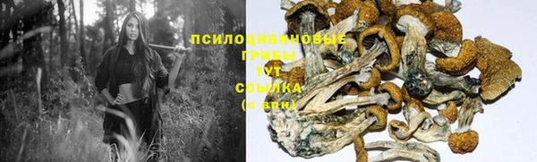 твердый Аркадак