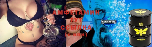 крисы Баксан