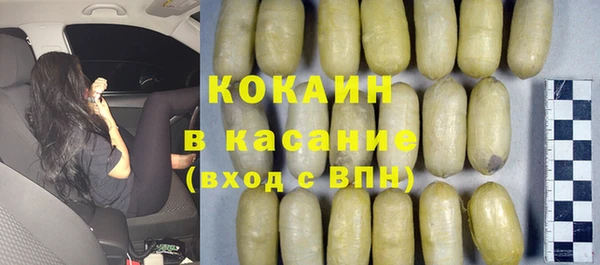 твердый Аркадак